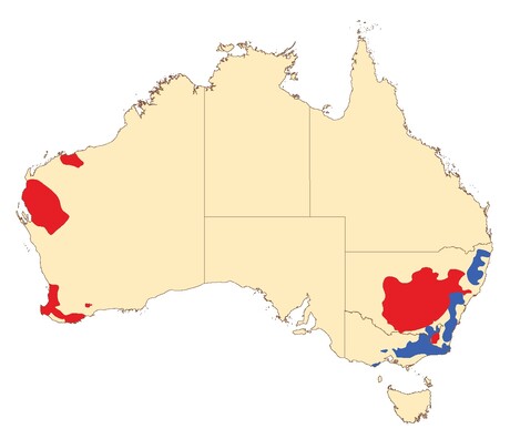 Where is the bushfire risk expected this summer?