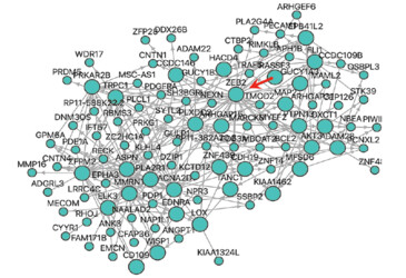 Coronary heart disease triggered by complex networks of genes Coronary heart disease triggered by complex networks of genes