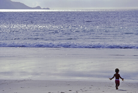 Skin infections confirmed as a cause of rheumatic fever