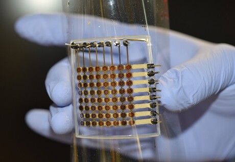 Researchers develop a fully 3D-printed, flexible OLED display