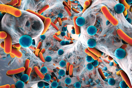 Bacterial AMR played a role in 4.95 million deaths in 2019