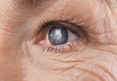 Biological age, risk of death may be indicated by the retina