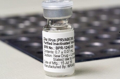 Zika vaccine shows promising results in animal studies