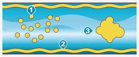 Choosing compressed air for food and beverage sectors