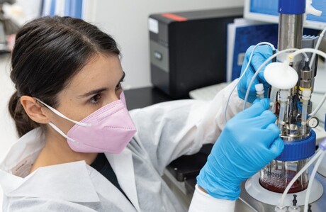 Cell cultures are not as stable as you think: study