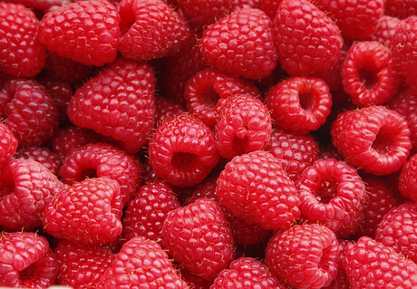 Asahi makes 50,000 kg Tasmanian raspberry deal Asahi makes 50,000 kg Tasmanian raspberry deal