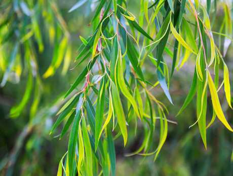 School fined $140K after worker death