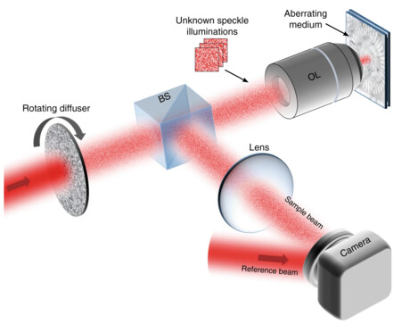 Microscopy method enables 3D adaptive optical imaging