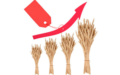 Cost of war: implications for Australian wheat Cost of war: implications for Australian wheat