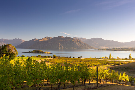 NZ Winegrowers welcomes free trade agreement NZ Winegrowers welcomes free trade agreement