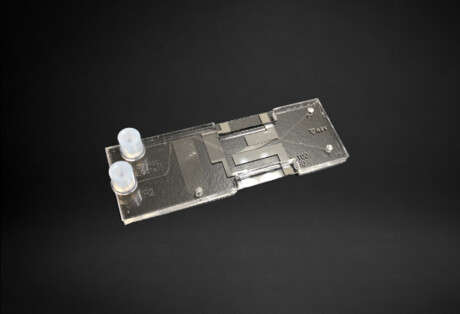 Lab-on-a-chip achieves fast, efficient cell separation Lab-on-a-chip achieves fast, efficient cell separation