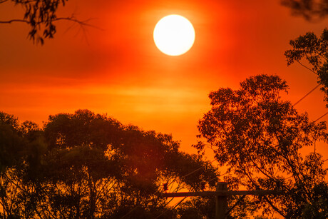 How climate change will disrupt Australian electricity networks