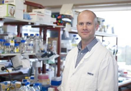 Feature: Rush of blood