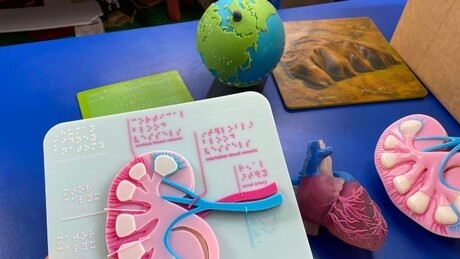 Vision-impaired students learn via 3D printing