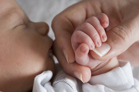 Mitochondrial donation legalised in Australia Mitochondrial donation legalised in Australia