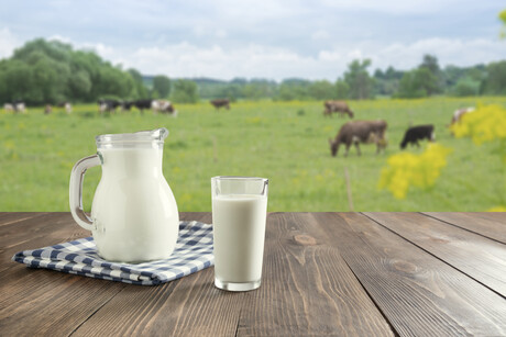 Dairy producer uses carbon-neutral milk from SA