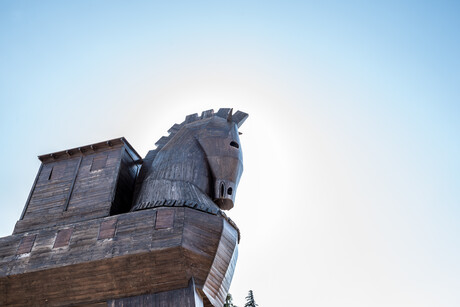 'Trojan Horse' drug delivery system developed 'Trojan Horse' drug delivery system developed