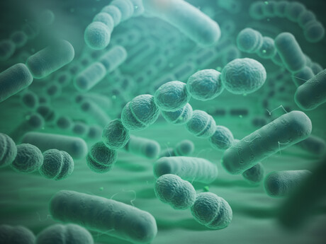 Antimicrobial resistance is making UTIs more deadly Antimicrobial resistance is making UTIs more deadly