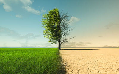 Latest IPCC report sees anxious responses