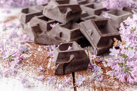 &#39;Moist incubation&#39; process for fruitier dark chocolate