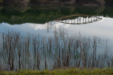 What can environmental DNA tell us about our aquatic ecosystems?