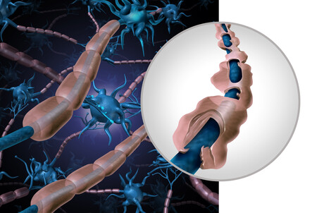 Inflammation mediator proves promising as MS treatment Inflammation mediator proves promising as MS treatment