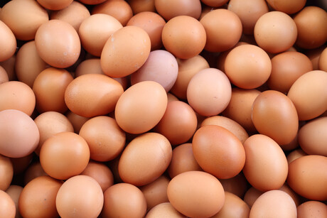 Australian egg industry survey opens Australian egg industry survey opens