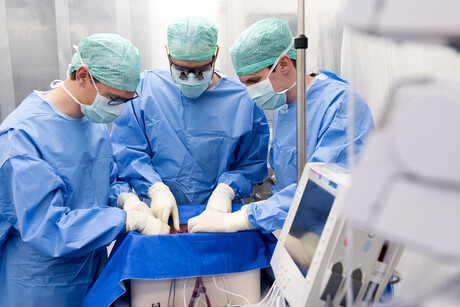 Damaged liver repaired, transplanted after 3 days outside body Damaged liver repaired, transplanted after 3 days outside body