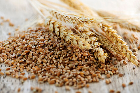 Whole Grain Week is approaching Whole Grain Week is approaching