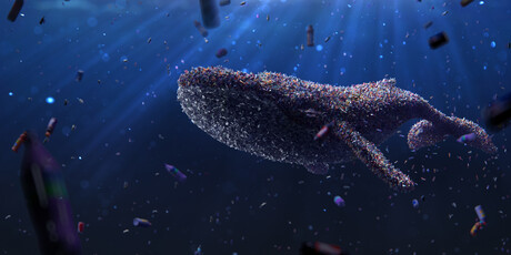 Microplastics found in the world&#39;s most remote oceans