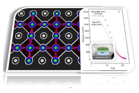 Insights into the dielectric properties of strontium titanate