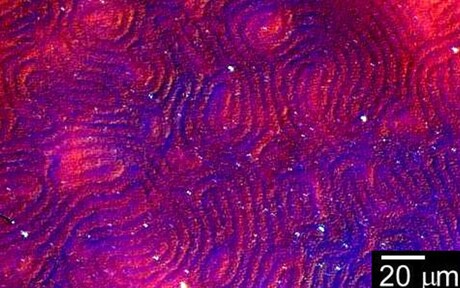 A light twist on display technology A light twist on display technology