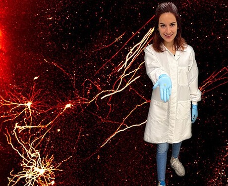 How traumatic brain injury changes the brain How traumatic brain injury changes the brain