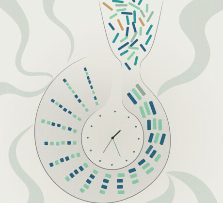 Many human genomes shaped by &#39;founder events&#39;