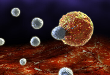 Fine-tuning CAR T cell therapy to reduce side effects Fine-tuning CAR T cell therapy to reduce side effects