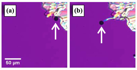 Revealed: the mechanism behind 'whisker crystal' growth Revealed: the mechanism behind 'whisker crystal' growth