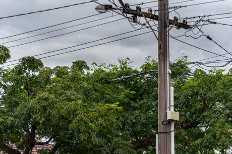 Powerline clearance fines to be issued in Vic