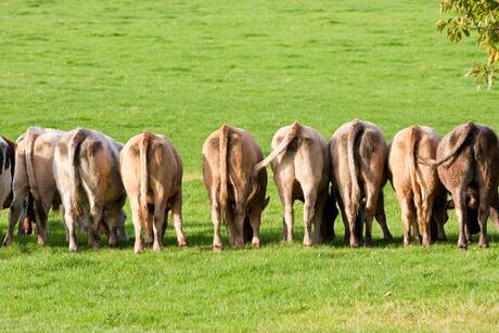 Climate change drives more atmospheric methane than we thought Climate change drives more atmospheric methane than we thought