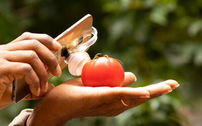 App puts food under the microscope