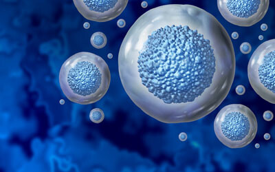 Stomach stem cells switch function upon injury