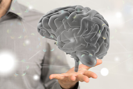 Quantitative MRI helps diagnose early-stage Parkinson&#39;s