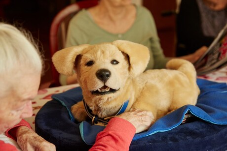 Speaker line-up for International Dementia Conference 2022