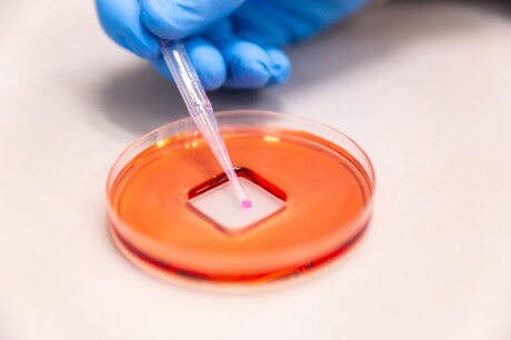 Sprayable coating shields surfaces from viruses and bacteria Sprayable coating shields surfaces from viruses and bacteria
