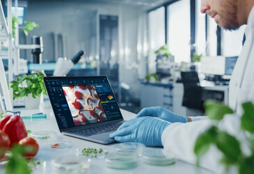Optimising the identification of key odourants in food Optimising the identification of key odourants in food