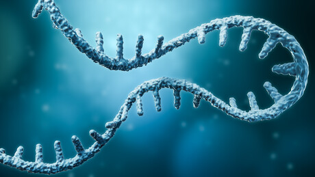 Victorian Govt invests in mRNA Innovation Hub Victorian Govt invests in mRNA Innovation Hub