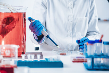 Start-up develops marbled cell-cultivated pork loin