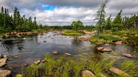 FFI&#39;s global green hydrogen ambitions continue to grow