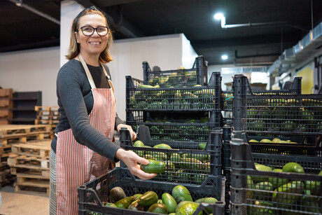 $15m horticultural project launches to help supply chain $15m horticultural project launches to help supply chain