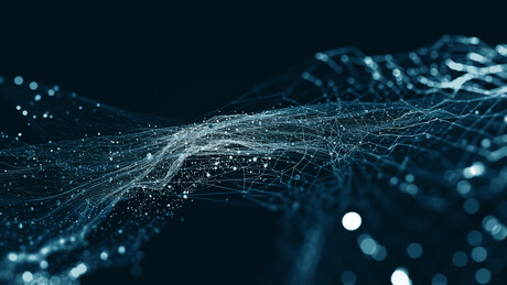 Resilient networks, resilient communities