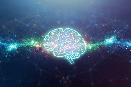 Test scores or brain scans? Predicting student learning